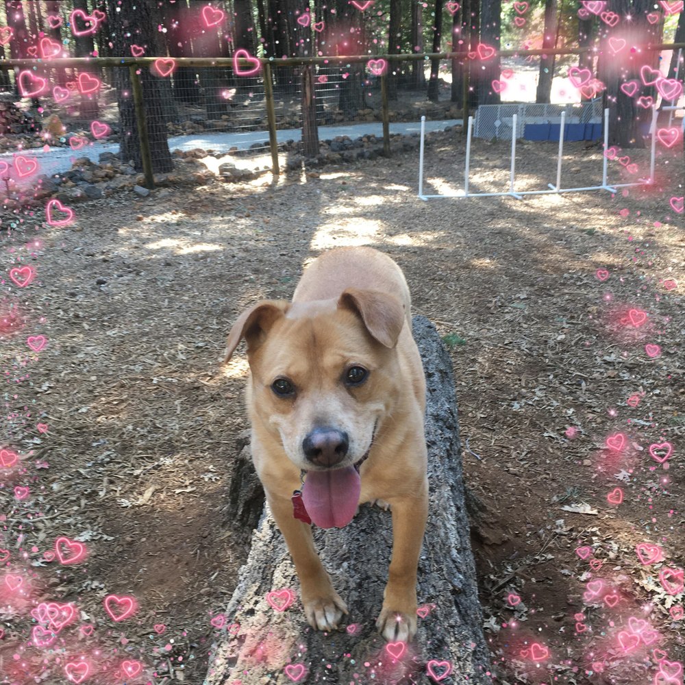 Meet your Posher, Erin